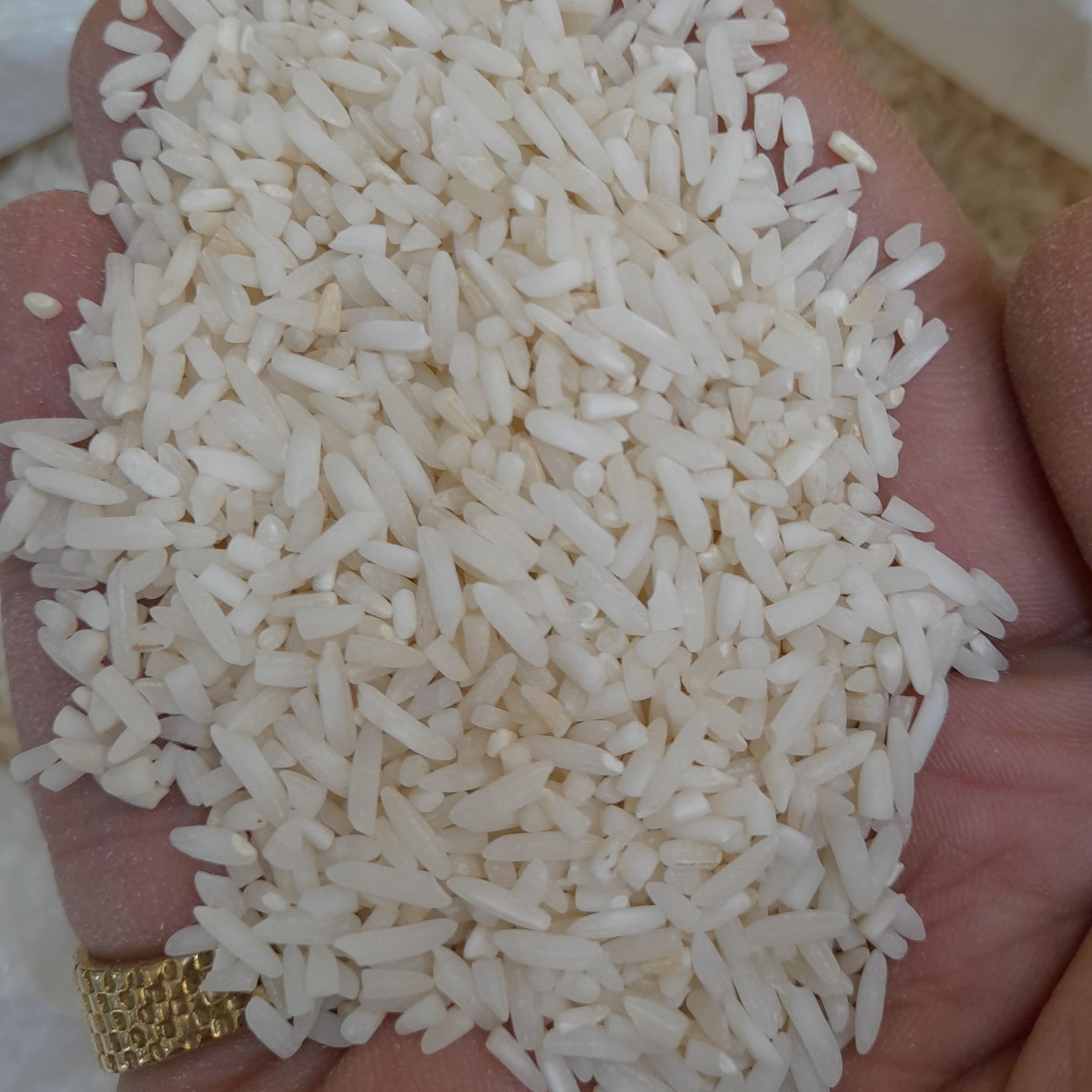 برنج باب خانه هاشمی ۱۰کیلوگرم