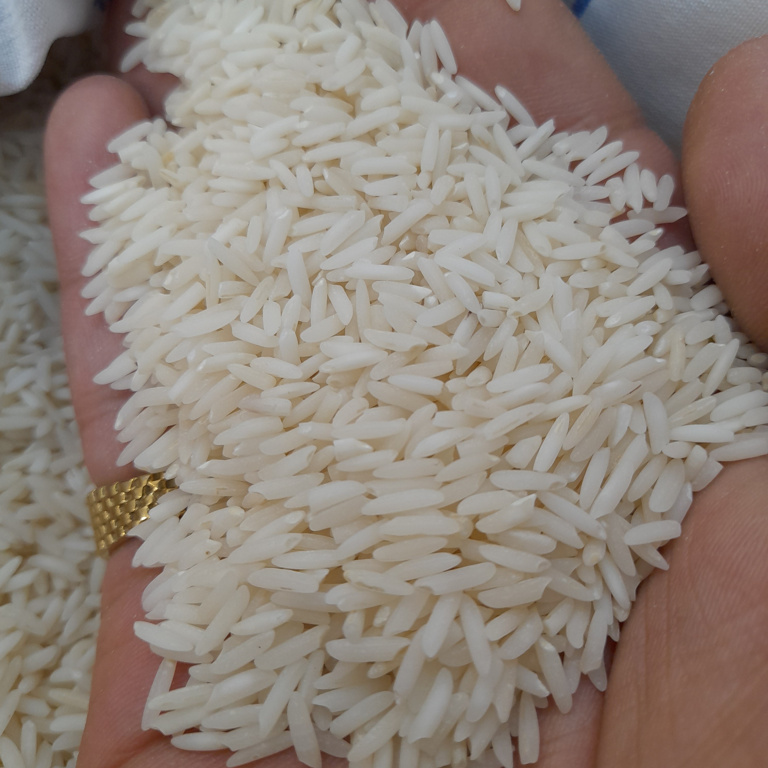 برنج هاشمی اعیانی آستانه اشرفیه 5کیلوگرمی