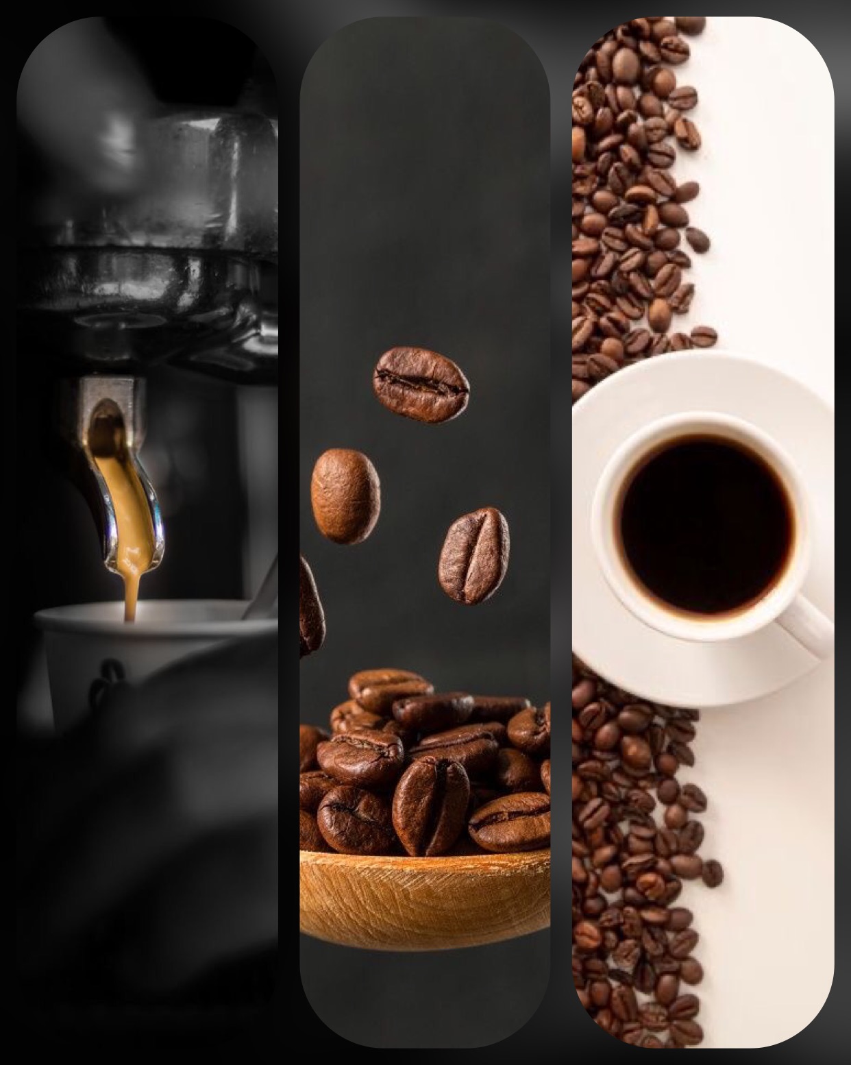 قهوه 100عربیکا کینگ کافه