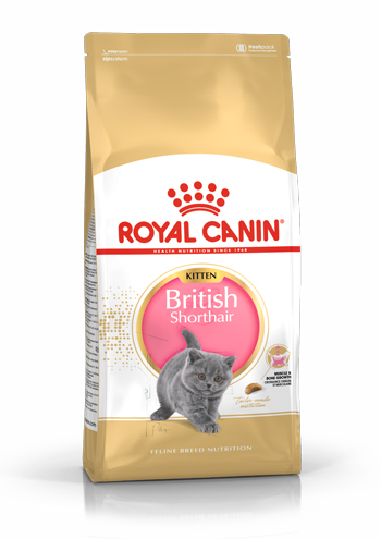 غذای خشک گربه رویال کنین مدل British Shorthair Kitten وزن ۲ کیلوگرم