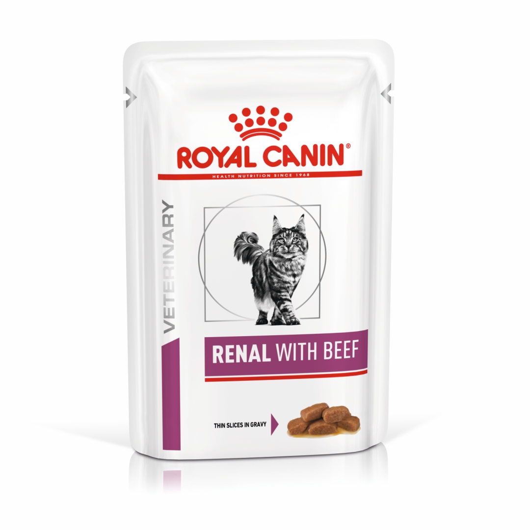 پوچ گربه رنال با طعم بیف رویال کنین – Royal Canin Renal With Beef Wet