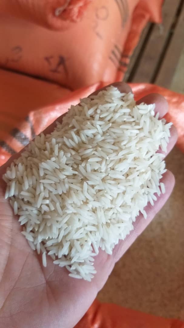 برنج فجر طارم 10000 گرمی